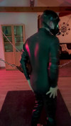 Pregled videozapisa