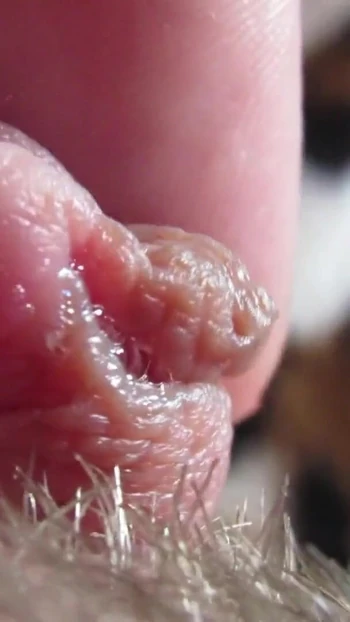 Stunning moment from "Extreme Closeup Pulsating Huge Clitoris FULL VIDEO"