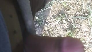 Video sex tiếng Hin-di thủ dâm trên cây full hd