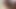 蜂が最初に縛られる