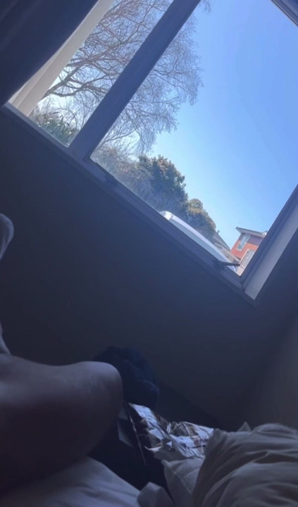 Seksi karın kasları