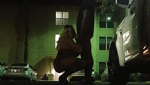 Dicke BBW-ehefrau in Dessous Öffentlich Hotelpark! Badblondiemonroe