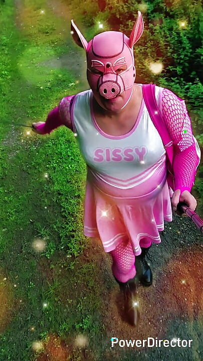 Debela sissy svinja