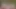 Solo blonde babe, Marie Duval is masturbating, in VR