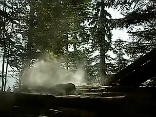 Heidi Lasst Sie Alle Jodeln teil 4