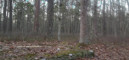 Pratinjau video