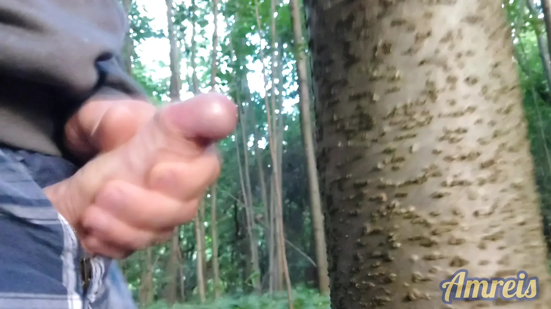 啪啪啪，我忍不住来到靠近道路的森林里。
