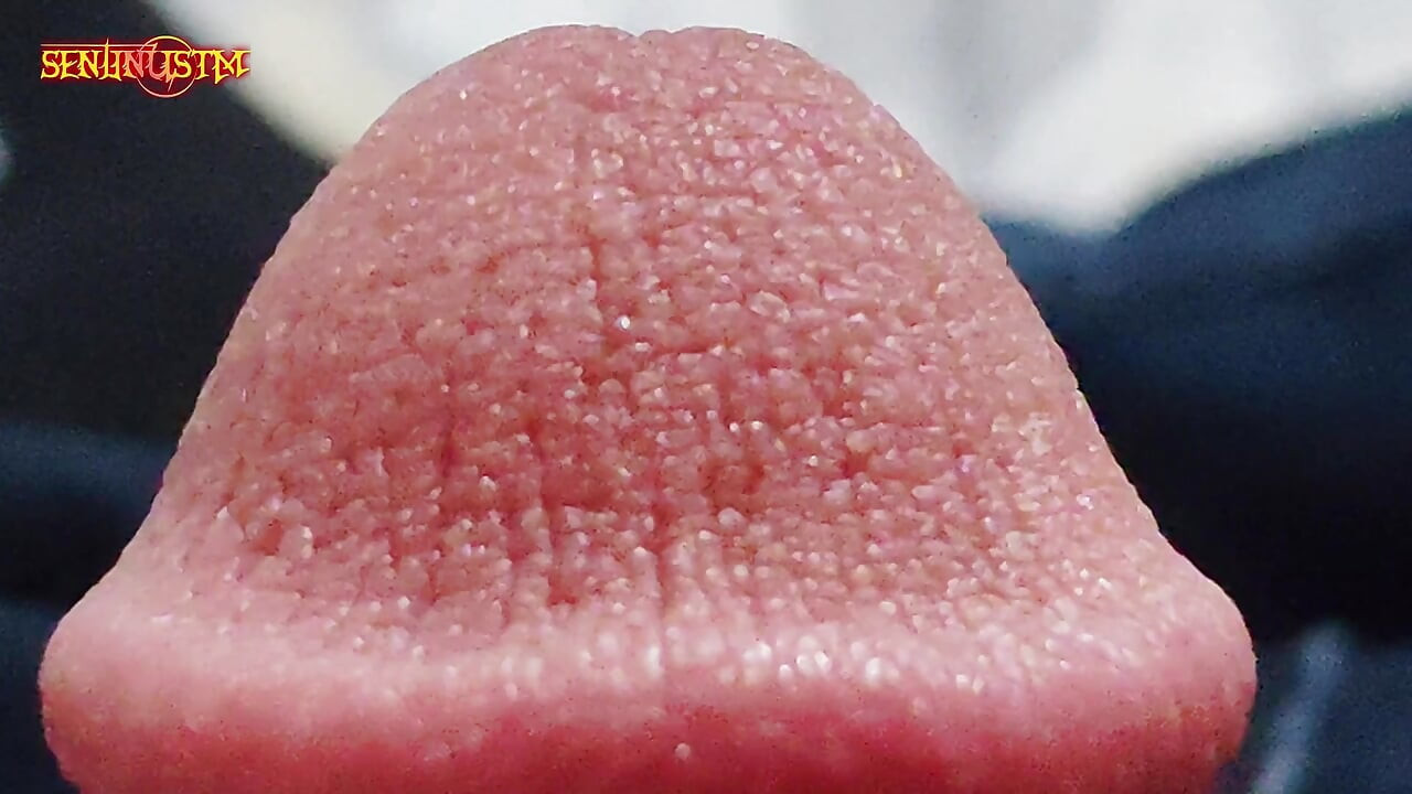 完美的藝術品