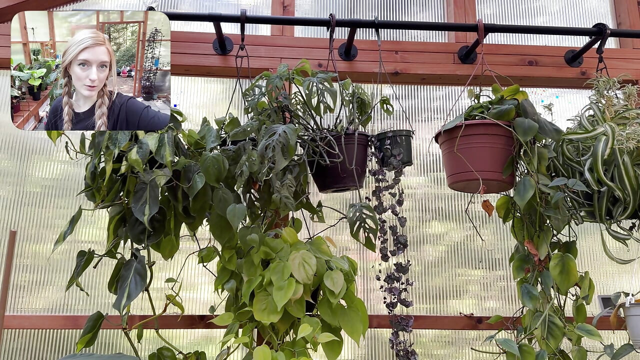 Moving My Plants Indoors