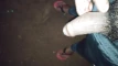 Video pregled