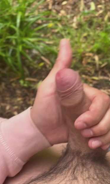 Cock in the woods