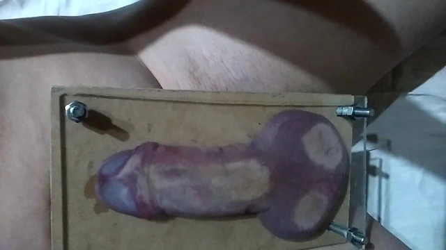 Press balls and cock