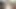 Lovely darling gets your attention by riding your D train