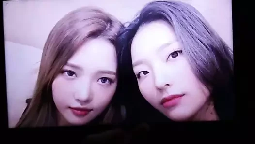 Fromis 9 - jisun ve saerom - cum haraç 1