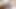 Tuktukpatrol kirli küçük Asya çiçek beslenen büyük çük