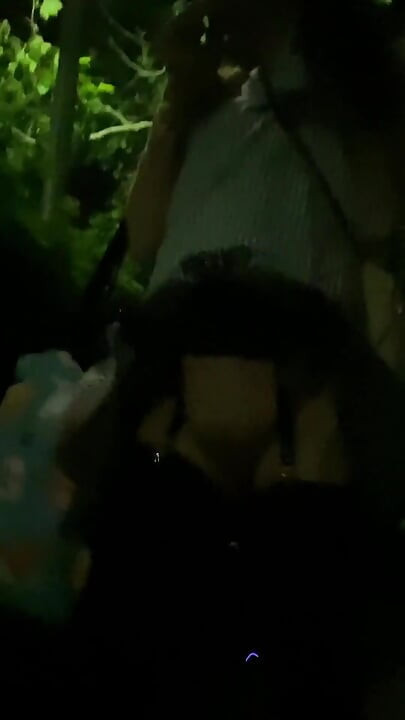 No. 282 a Nighttime Exhibitionist Stroll di Taman