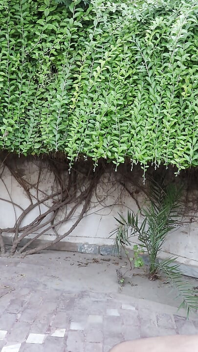 Fat Horny Nude Pakistani Gay Boy Exposing Spicy Big Ass in Public