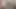 New sri lankan boy masturbation