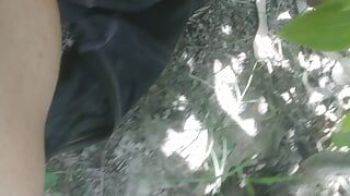Bacharel em árvore na floresta em vídeo de sexo