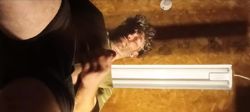 Only 2