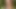 BEST blowjob in the FOREST from a Blonde with Green eyes, Cum Walk