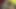 Красивая милфа с большой задницей в хиджабе скачет на огромном члене
