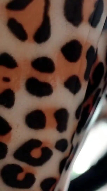 Memorable moment from "Free Latex Rubber Facesitting POV fetish video, Arya Grander"