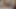 Joanna &quot;jojo&quot; levesque seksi üstte büyük göğüslerini sallıyor