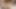 アナルセックス!!熱いアルテミサ74と一緒に