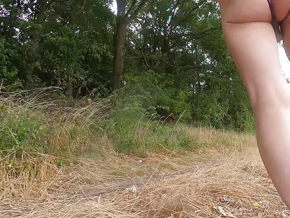 Day in the Fields and Street