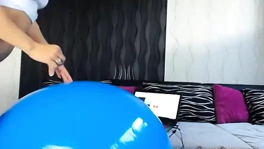 Жизни-шоу больших синих яиц