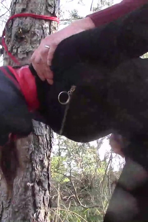 Outdoor sex in the wood. Wearing sexy clothes and high heels, bound, throated and fucked