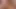 PervCity Vichi Chase Latina Asian Blowjob