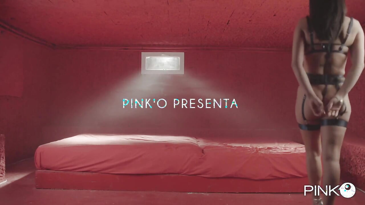 Freya Ferrari: My First Anal in the Private Room