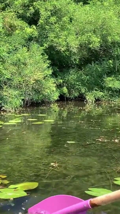 Real Outdoor Sex on the River Bank after Swimming (POV) | Clip 1