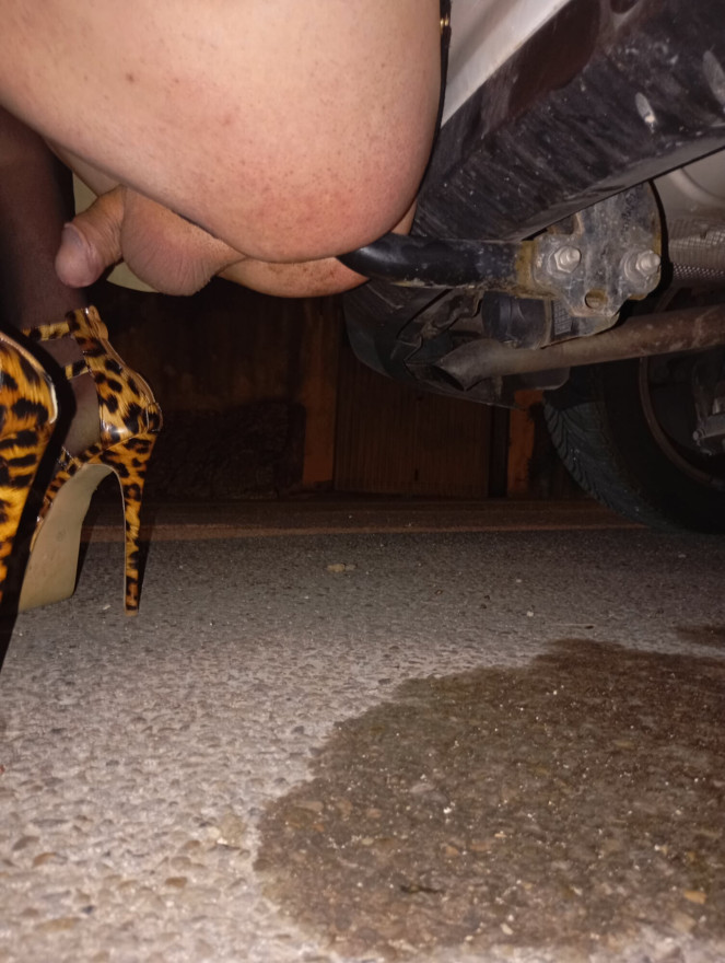 Car fuck
