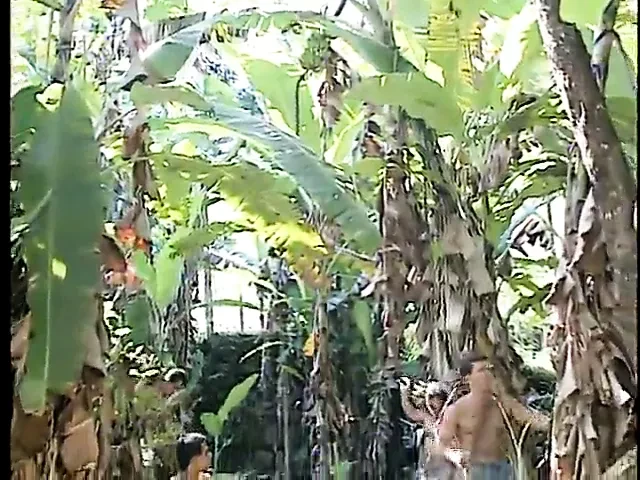 Jungle Heat