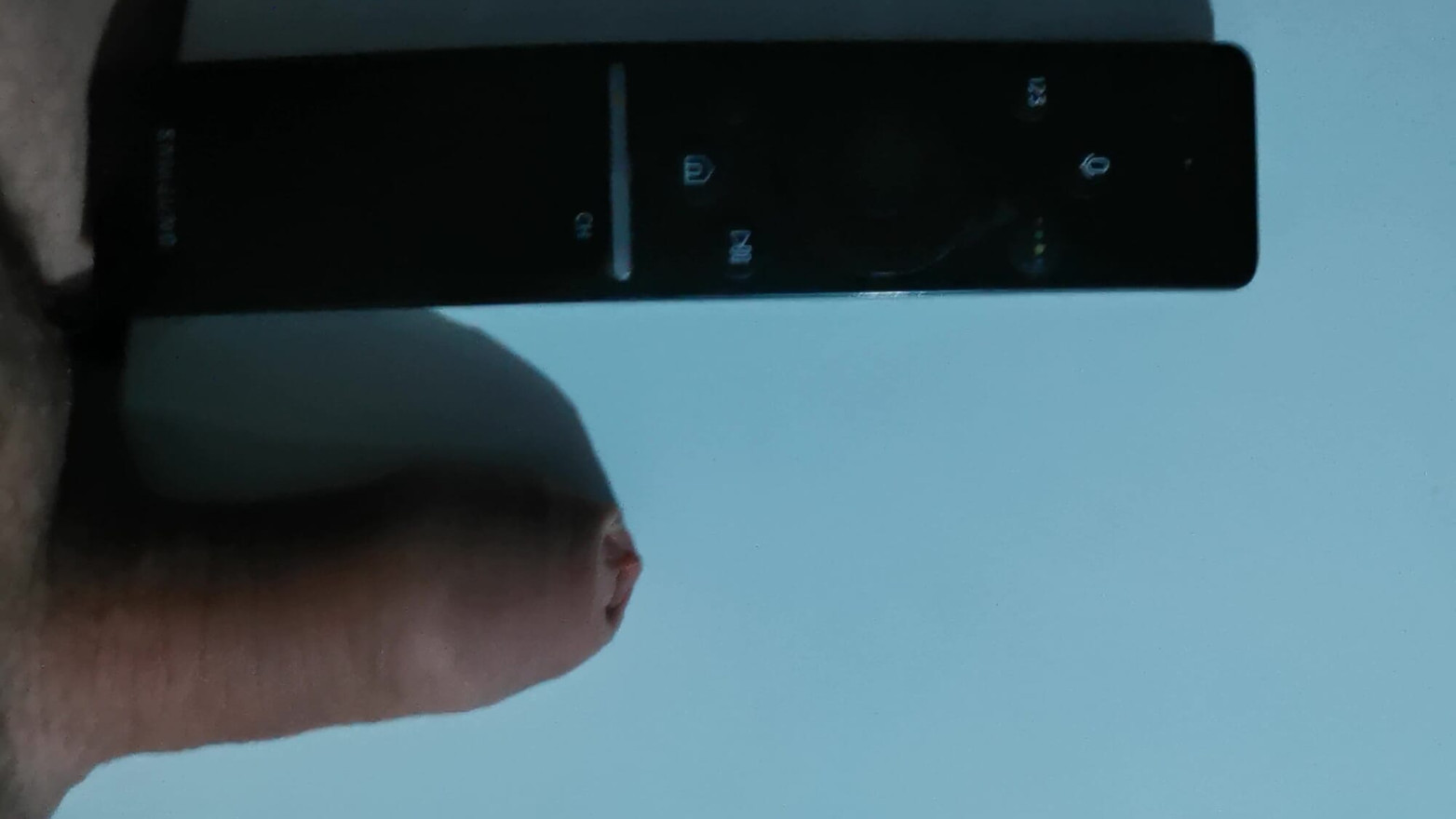I compare the TV remote to my penis after 4 days of hardcore combo party.