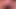 Üretral ses