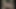 الجنس البري في روما القديمة