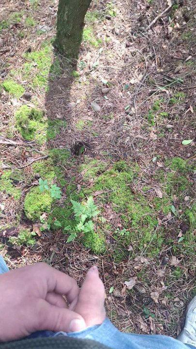 Solo outdoor peeing in a public wood