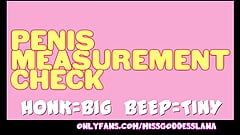 Penis Measurement Check Comment Honk or Beep