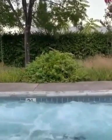 Alexandra Daddario hot in bikini