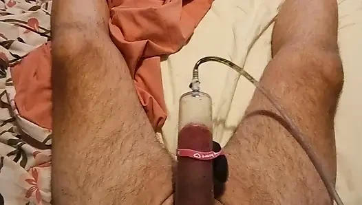 Gloucester'dan şişman yarak