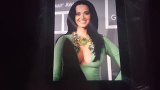 Katy Perry, hommage 3