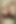 Mick Stabber Is Pounding Nasty BBW's Pussy