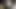 Tsukushi - animated video 3D