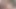 yumruk4k. becerikli kart köpekbalığı, kaybedeni penis ile tatmin ediyor