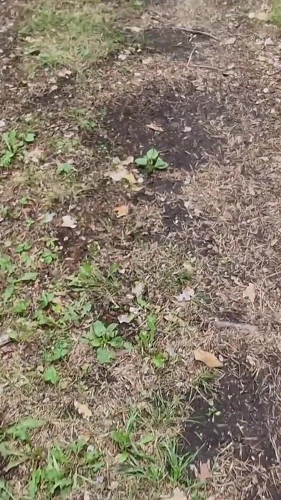 Extreme Shock, a Fucked on the Hood of a Car Near Truckers Watching Our Fuck Without a Condom.