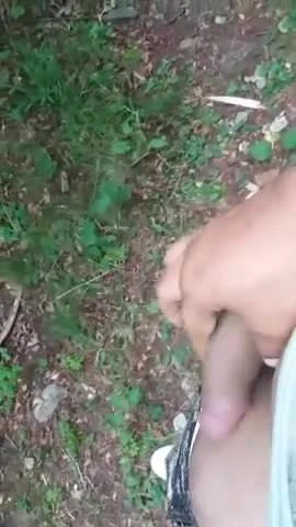 joaca in padure